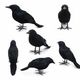 Realistic Black Crow Decoration | Feathered Raven Halloween Prop Halloween Decorations - The Eezee Shop
