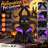 Purple Witch Devil Pet Costume | Cat & Dog Halloween Outfit Pet Costumes - The Eezee Shop