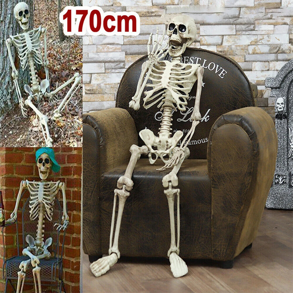 Life-Size Posable Anatomy Skeleton | 170cm Halloween Prop Outdoor Halloween Decorations - The Eezee Shop