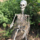 Life-Size Posable Anatomy Skeleton | 170cm Halloween Prop Outdoor Halloween Decorations - The Eezee Shop