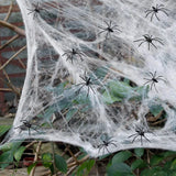 Glow Stretch Spider Web with Spiders | Halloween Cobweb Decor Halloween Decorations - The Eezee Shop