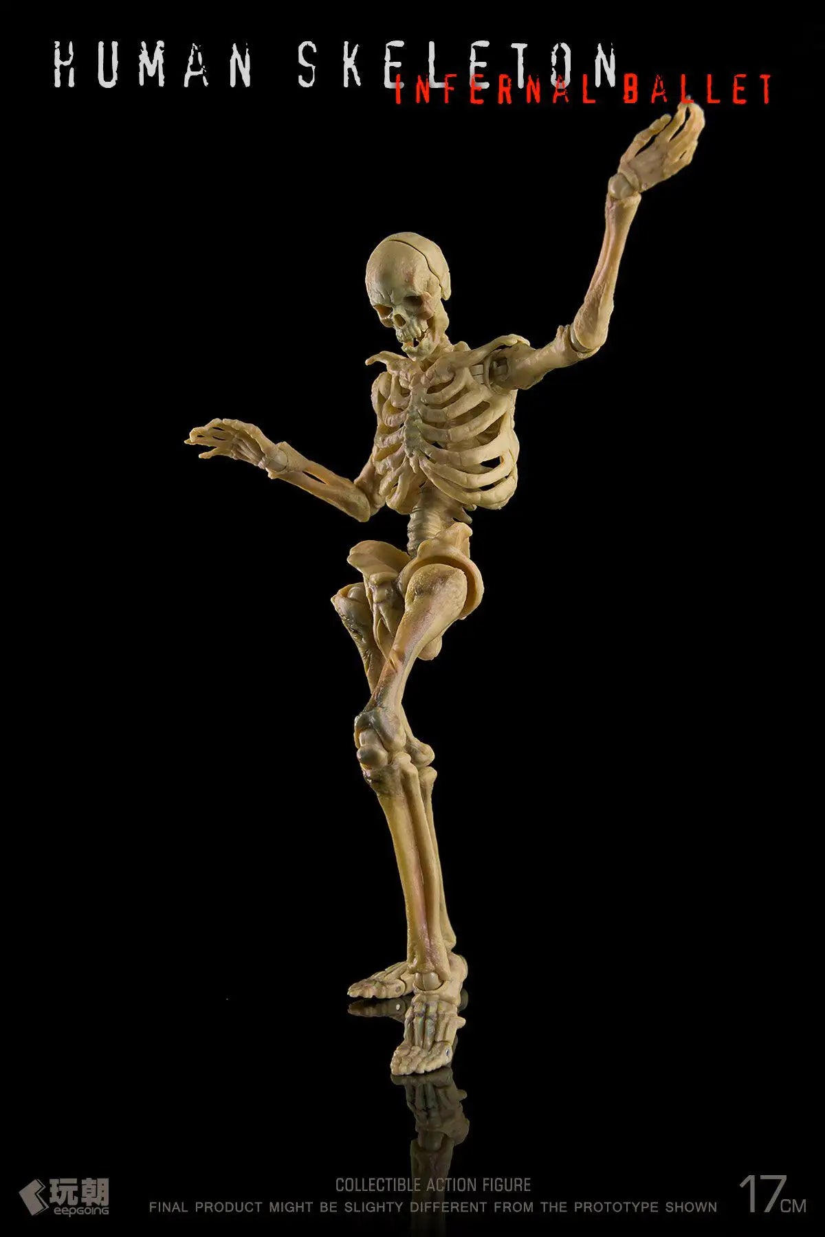 1/12 Articulated Human Skeleton Figure | Collectible Model Collectible Figures - The Eezee Shop