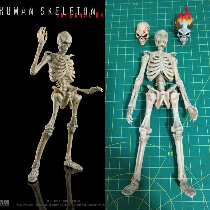 1/12 Articulated Human Skeleton Figure | Collectible Model Collectible Figures - The Eezee Shop