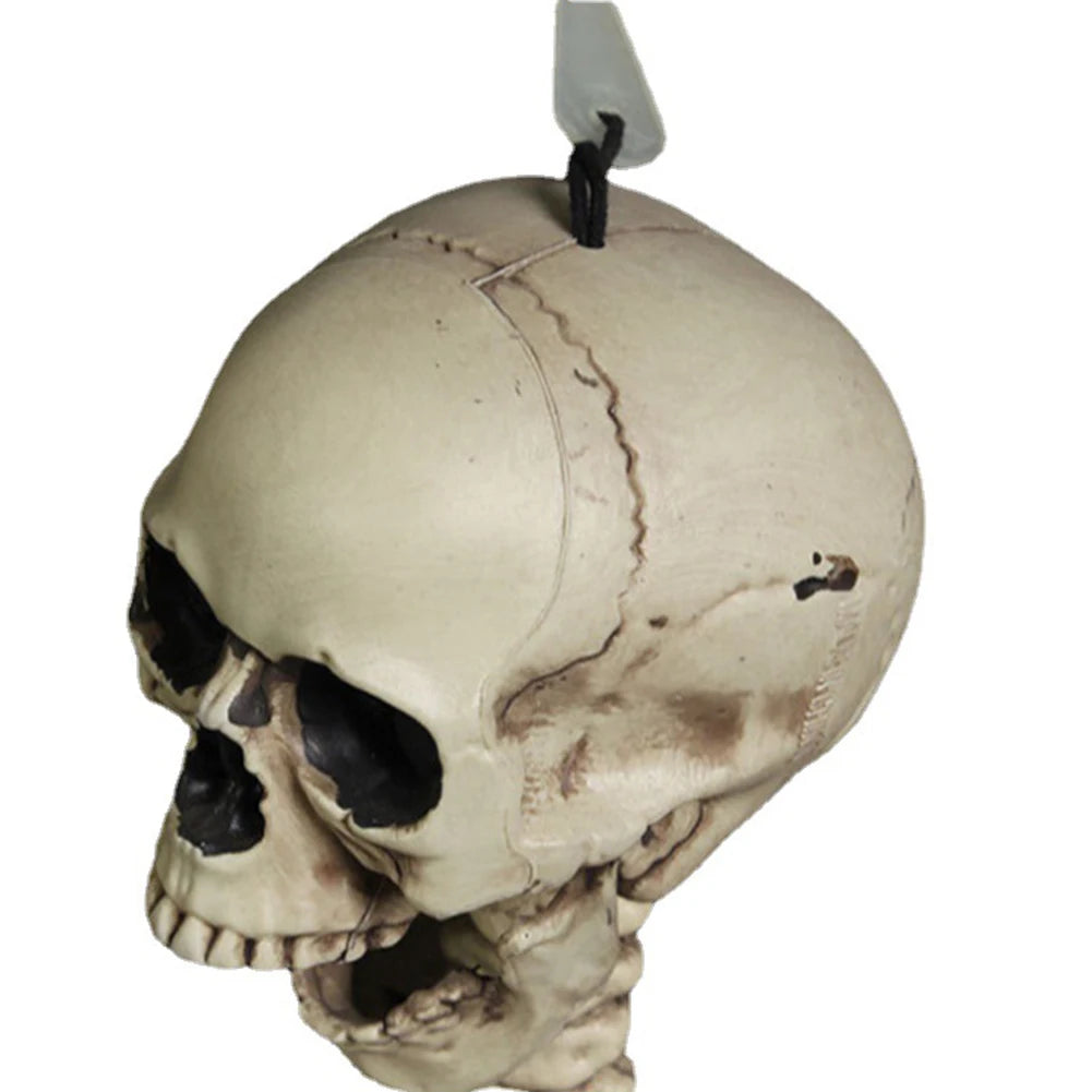 Full-Size Posable Skeleton | Halloween Yard & Haunted House Prop Outdoor Halloween Decorations - The Eezee Shop