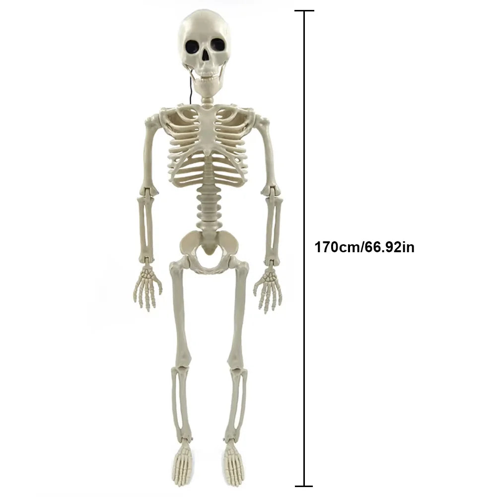 Full-Size Posable Skeleton | Halloween Yard & Haunted House Prop Outdoor Halloween Decorations - The Eezee Shop